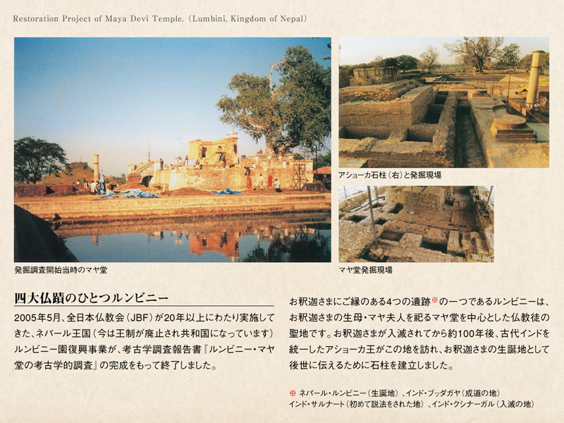 �l�啧�ւ̂ЂƂ����r�j�[