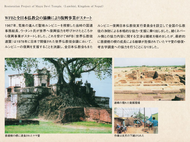 WFB�ƑS���{������̋����ɂ�蕜�����Ƃ��X�^�[�g