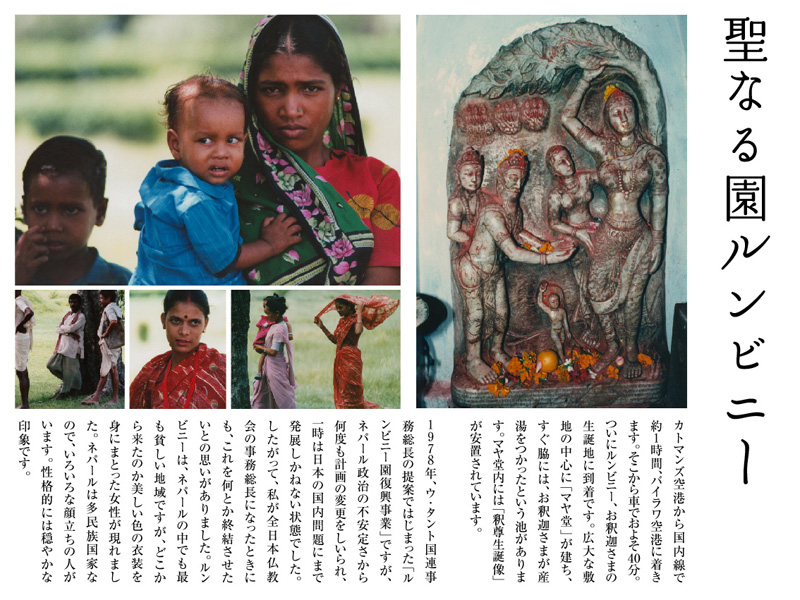 ���Ȃ鉀�����r�j�[